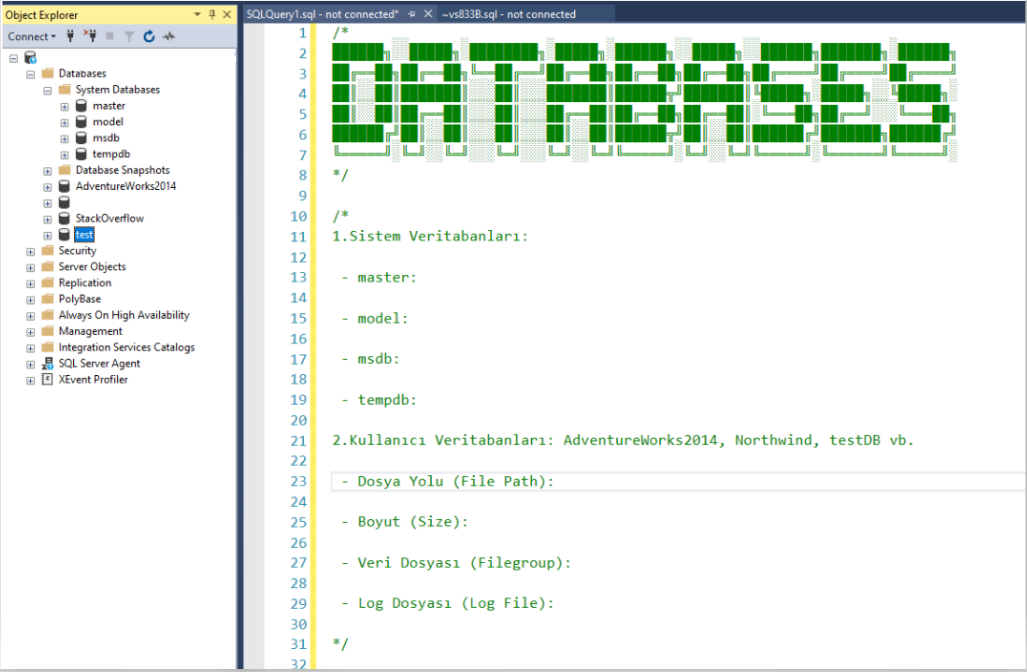 SQL Server Databases – Aryasoft Bilgi Teknolojileri